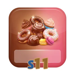 s11
